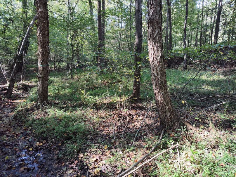 IMG_20231009_152931727