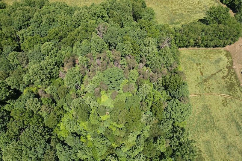 DJI_0021