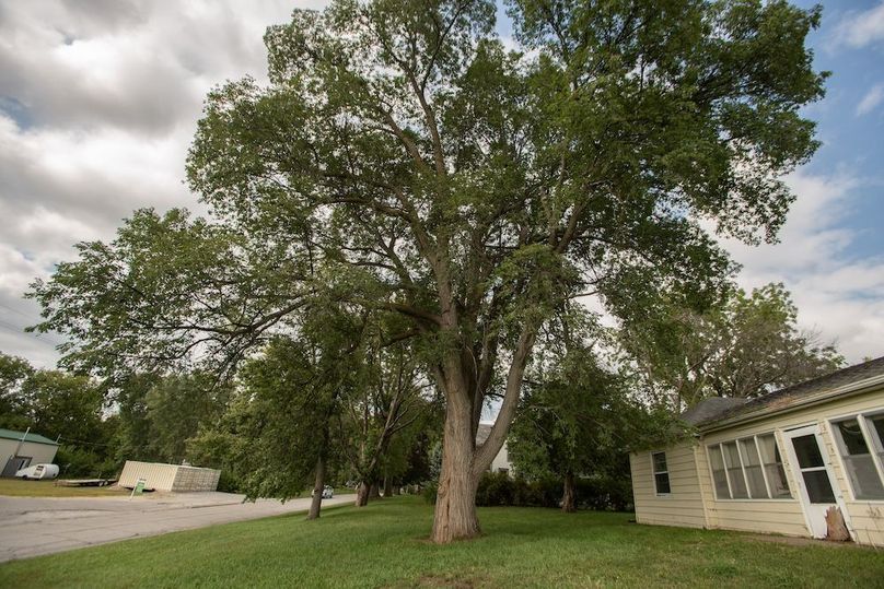 FREMONT CO IA .98+_-_30