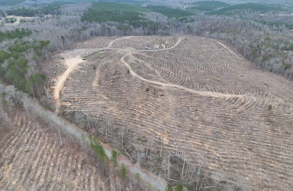 DJI_20260303123844_0009_V