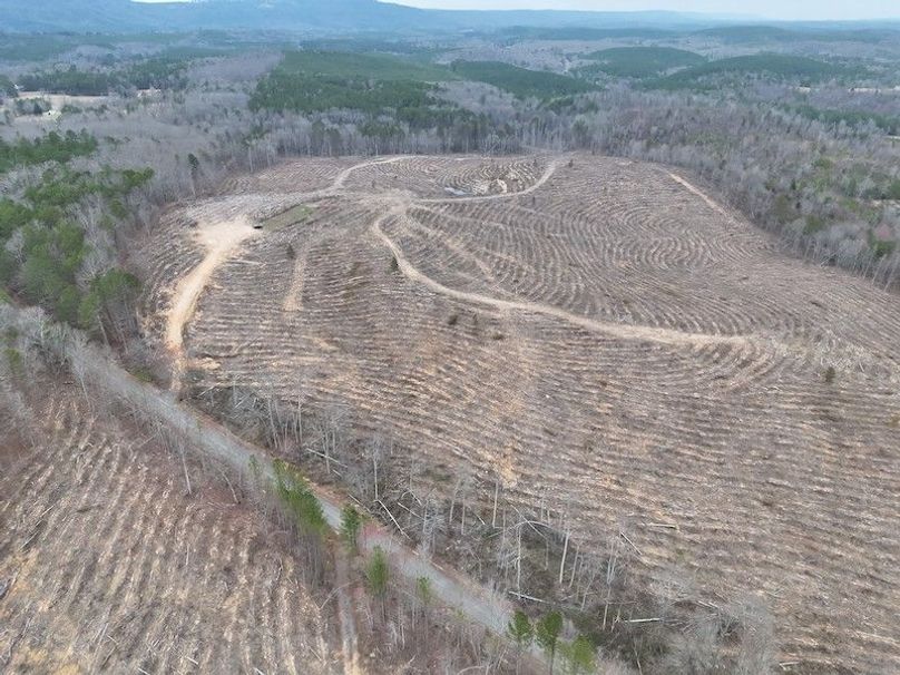 DJI_20260303123844_0009_V