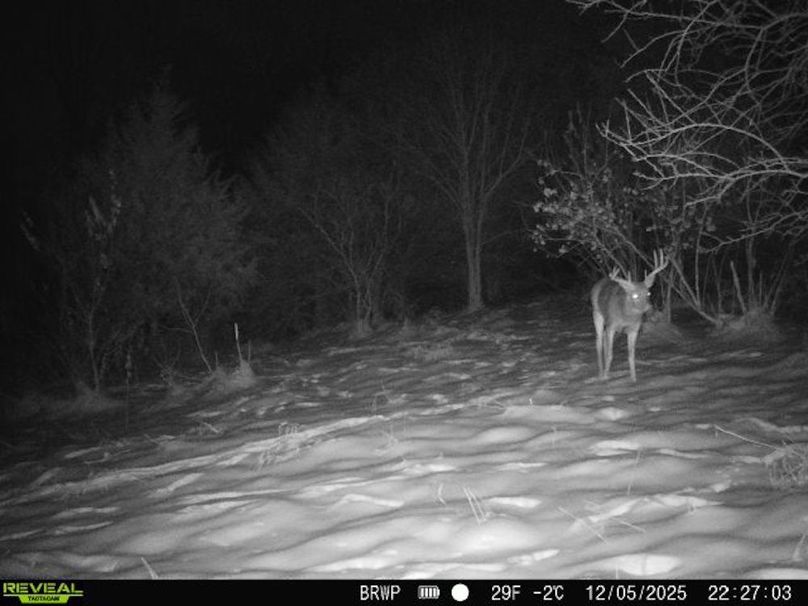 860322065924133-100-4-12052025222702-W1001511