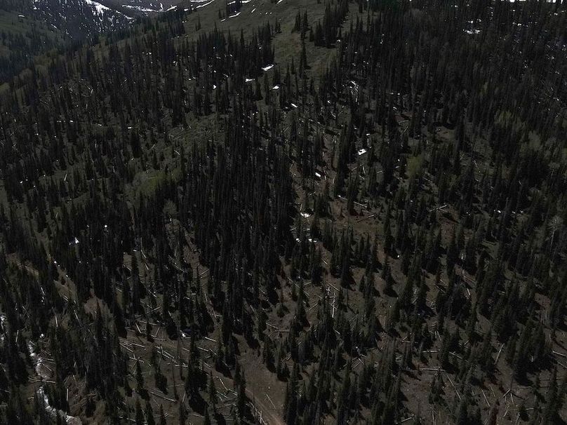 Copy of Photo_1080295621_DJI_197_jpg_4704771_0_202261412552_photo_original.jpg