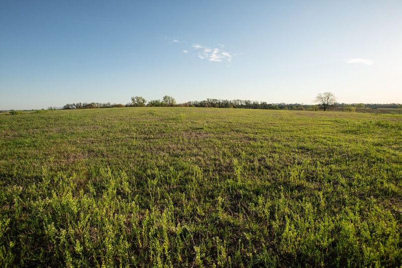 MONTGOMERY CO IA. 156.78_30