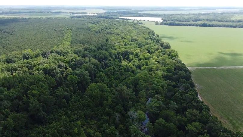 2024-06-01-10-42-36-793