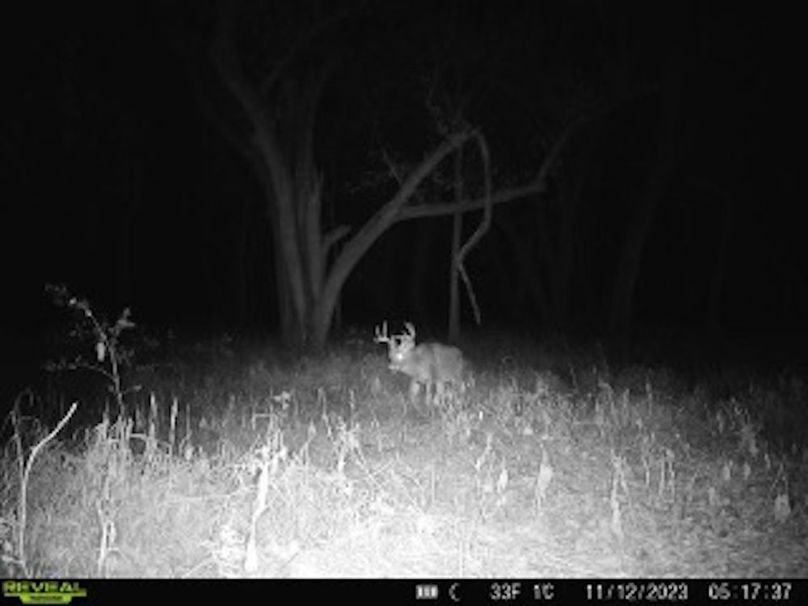 b05934b9-638a-413c-8714-ed2ef74a636b