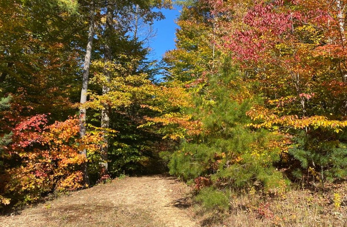 004 look at those beautiful fall colors