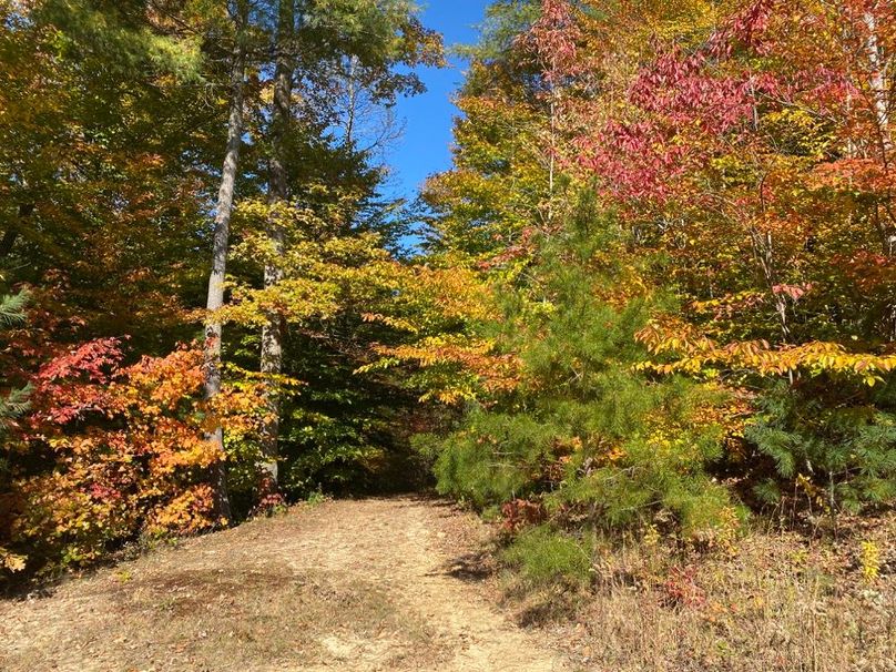 004 look at those beautiful fall colors