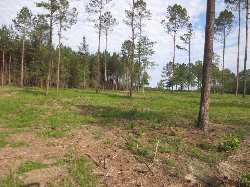 AF867E65-B154-412A-9CB7-EE1BAEABDEF7_1_105_c