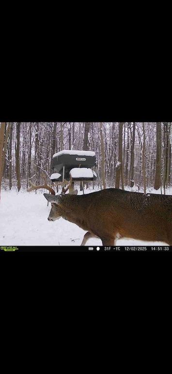 Screenshot 2026-02-09 at 3.20.33 PM