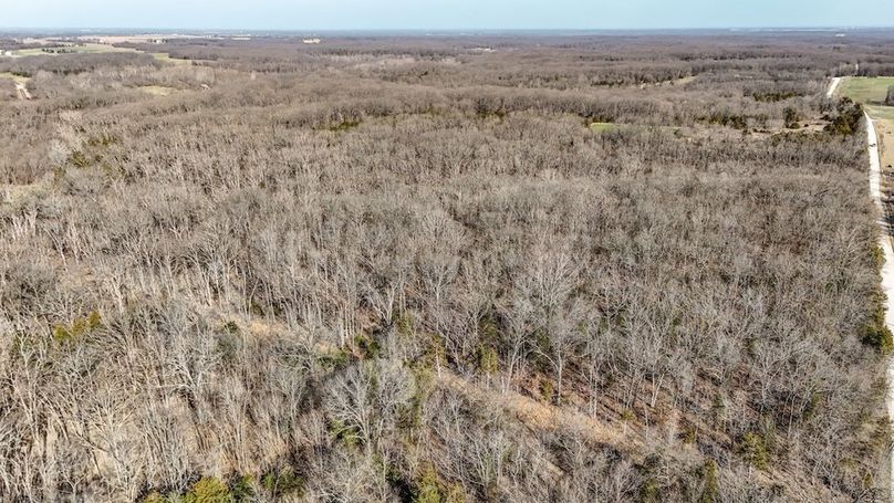 DJI_20250316090805_0044_D