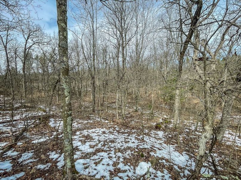 Adams 10.06 Johnson-39