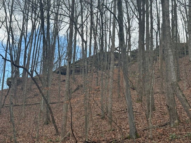 010 rock cliffs along the south rim