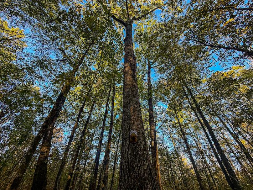 Clay 302.7 Henderson-15