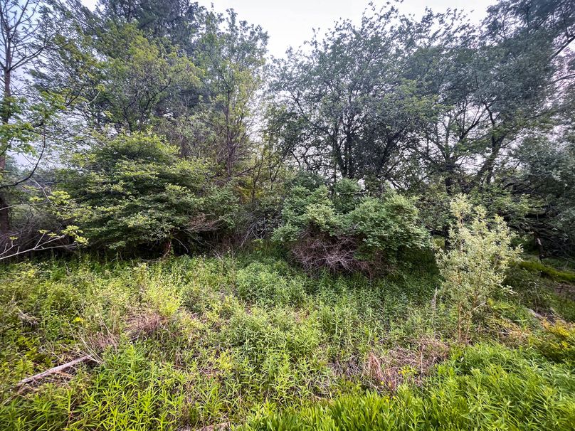 Ontatio_73.3_Green Photo 28