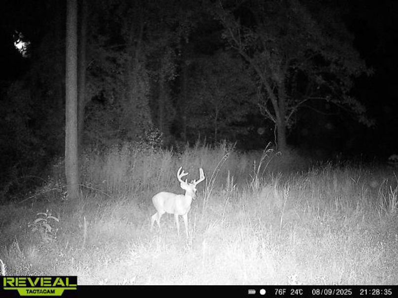 TwinStatesTrailCam34