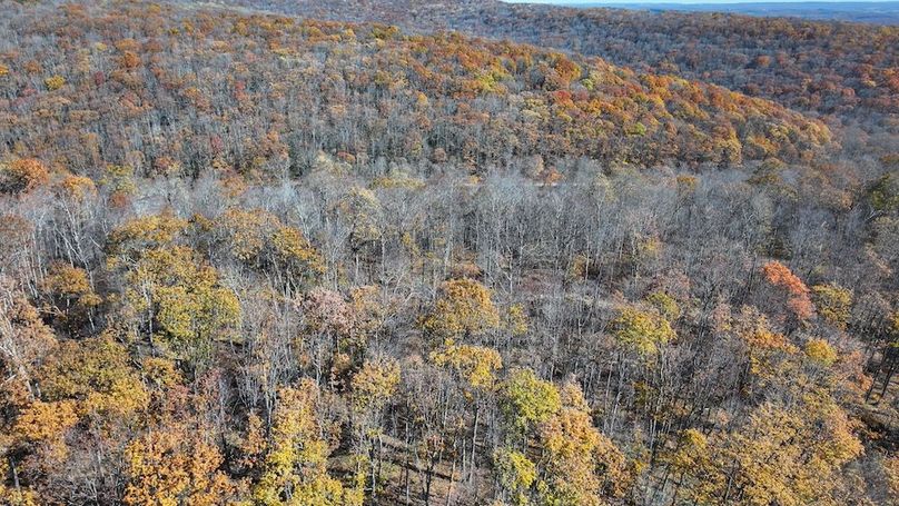 Somerset, 10.91, Tinkey-05