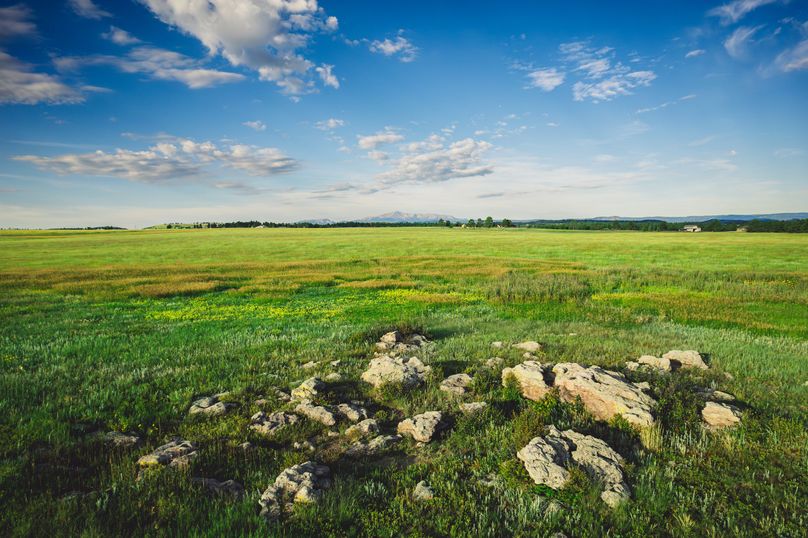 Douglas CO 35 Prettyman - 010