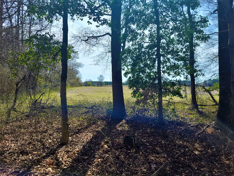 115.68ac_HarmonyRd_PIC_007