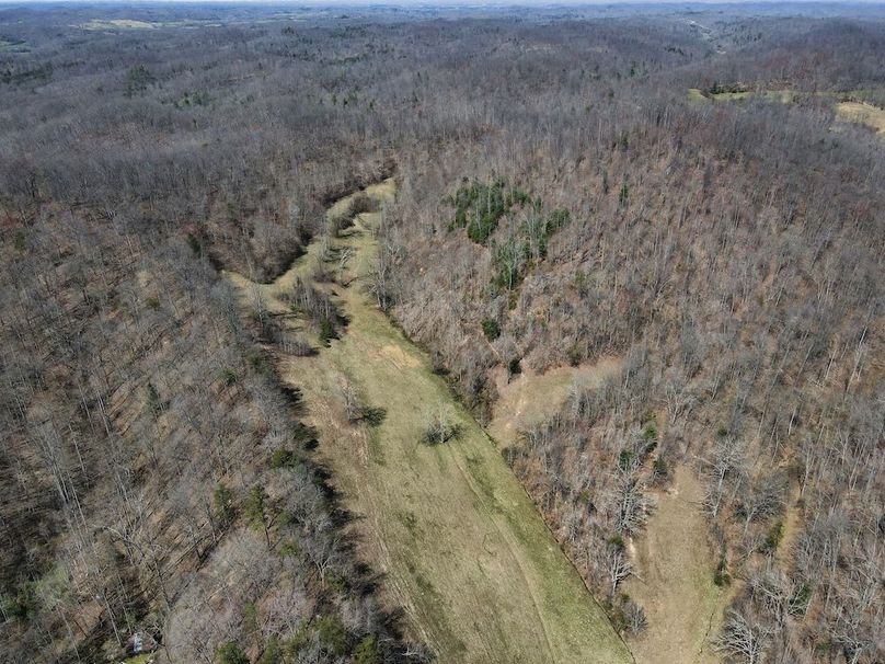 025 elevated view towards the head of the valley