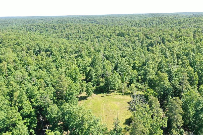 DJI_0871