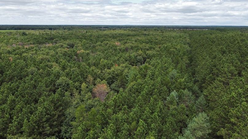 dji_fly_20240717_133802_273_1721254596311_photo_optimized