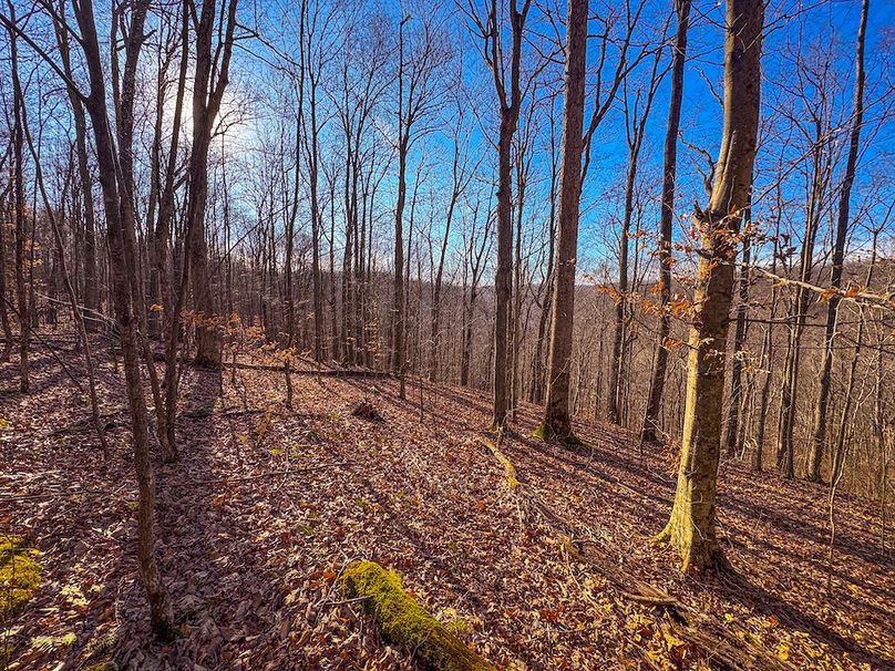 Lewis, WV 82.87 AC Barger-38