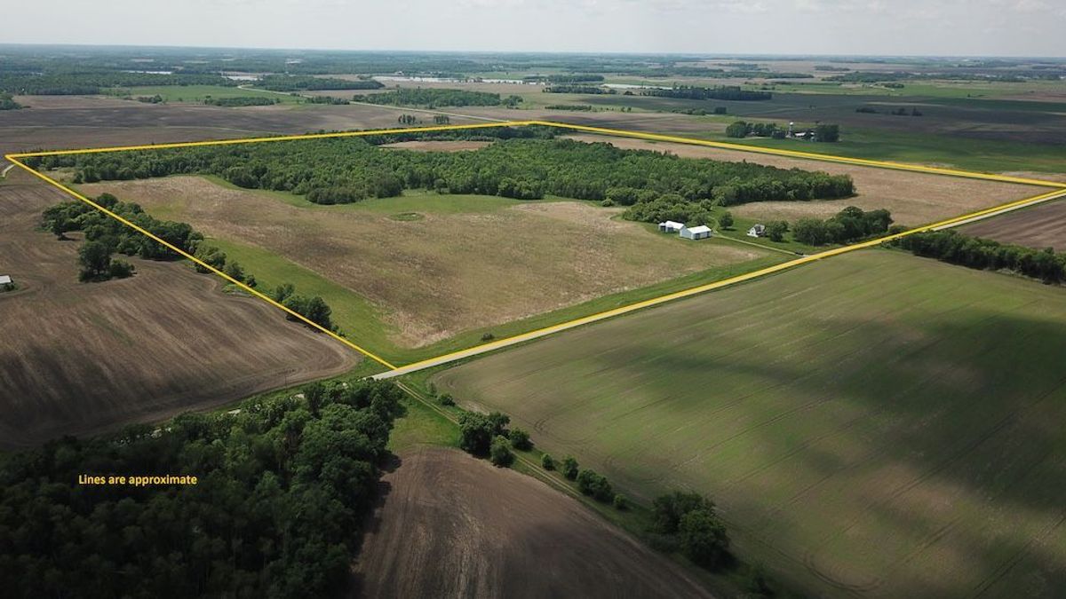 www.whitetailproperties.com