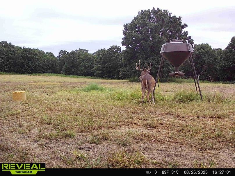 865814048168262-30-2-08252025162700-HD-W1000987