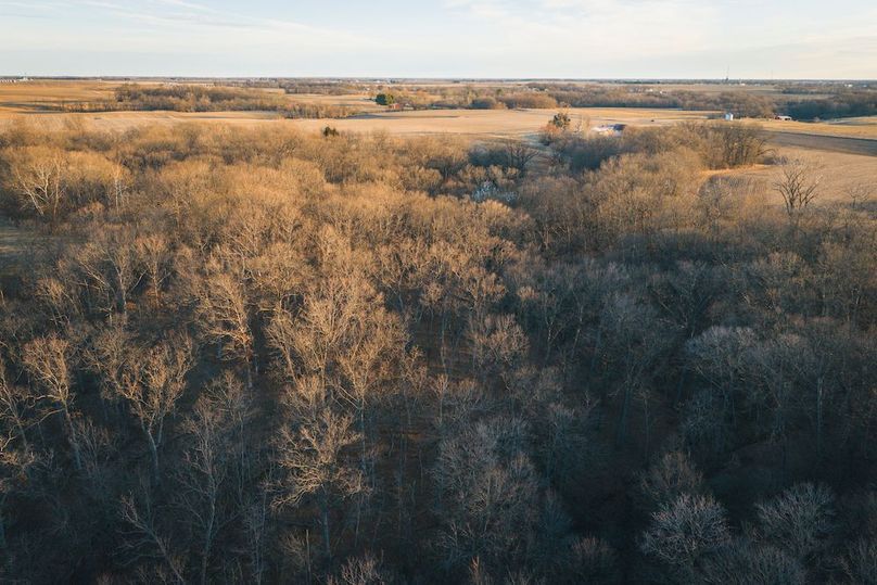 DJI_20260228070728_0299_D