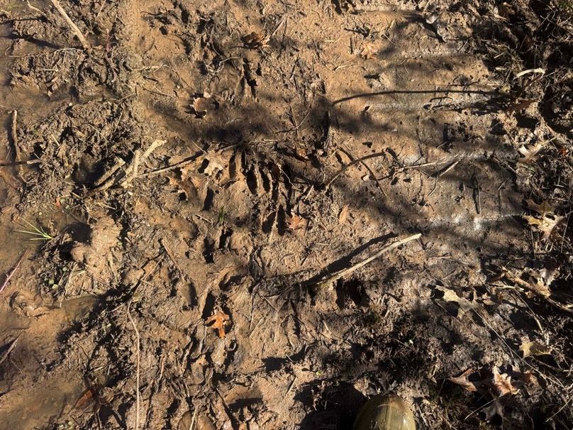 1a1 jeff 8320251111_0242