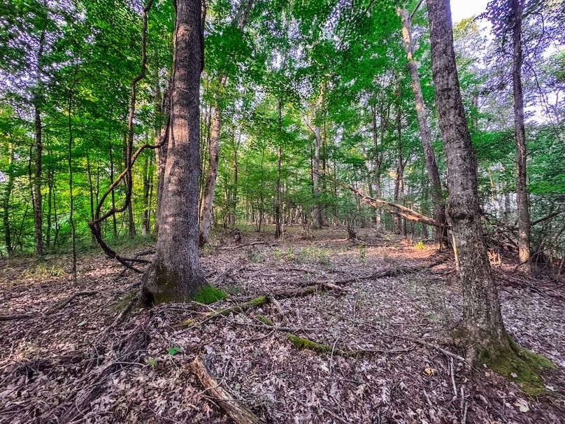 Webster, WV 42 AC Barger-33