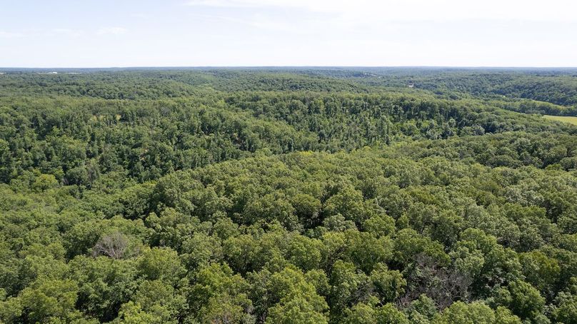 DJI_0006