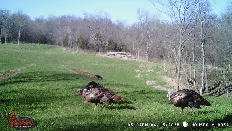 TRAIL CAM 8