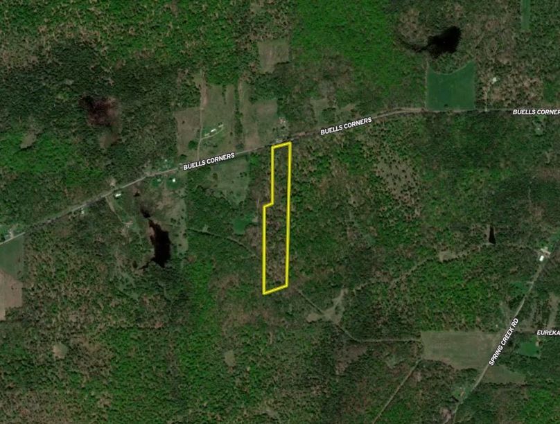 Screen Shot 2025-10-19 at 11.23.49 AM