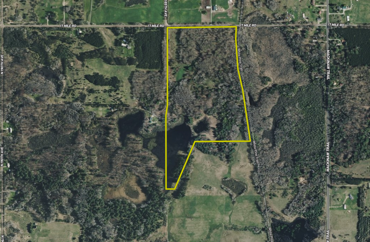 Aerial001_Johnson_60.46_Osceola