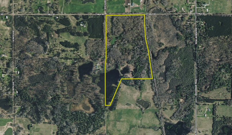 Aerial001_Johnson_60.46_Osceola