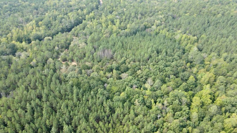 dji_fly_20230906_115236_381_1694015581658_photo