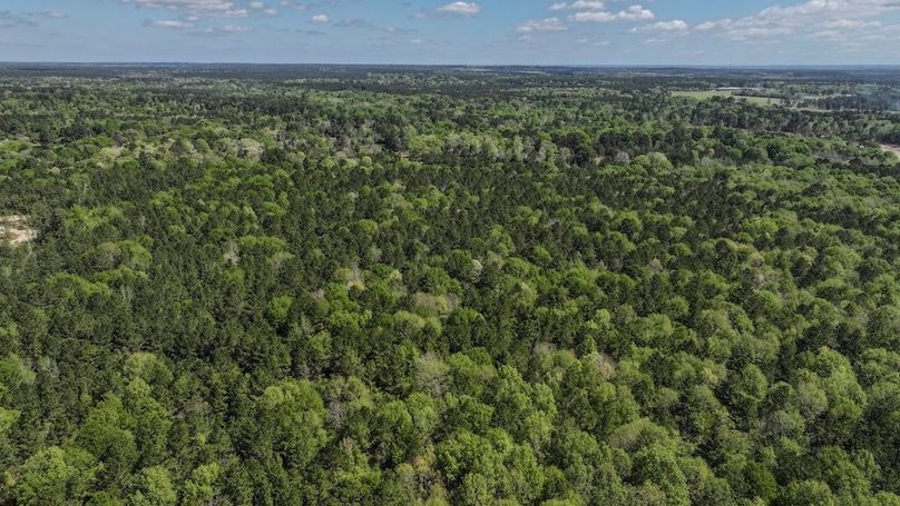 DJI_20260327115724_0041_D