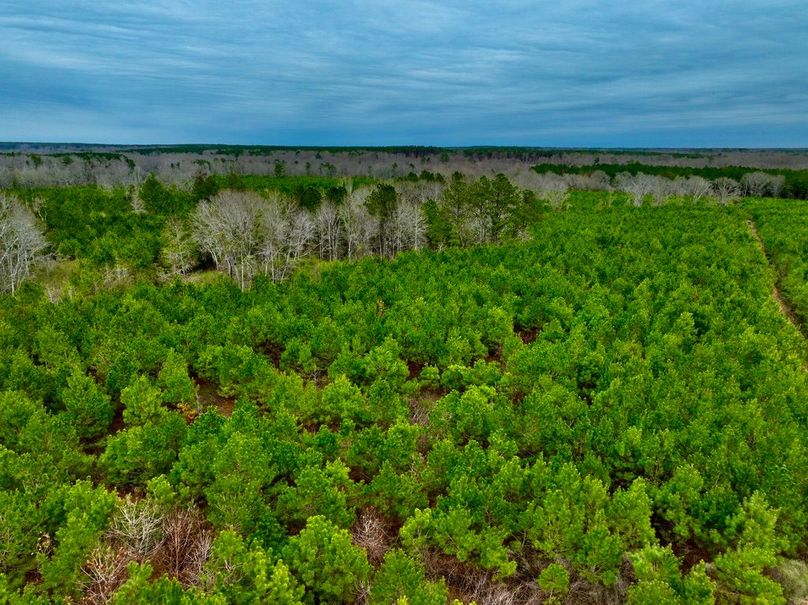 0006C89B-6CC7-45EA-AFFB-E975EAC535D9_1_105_c