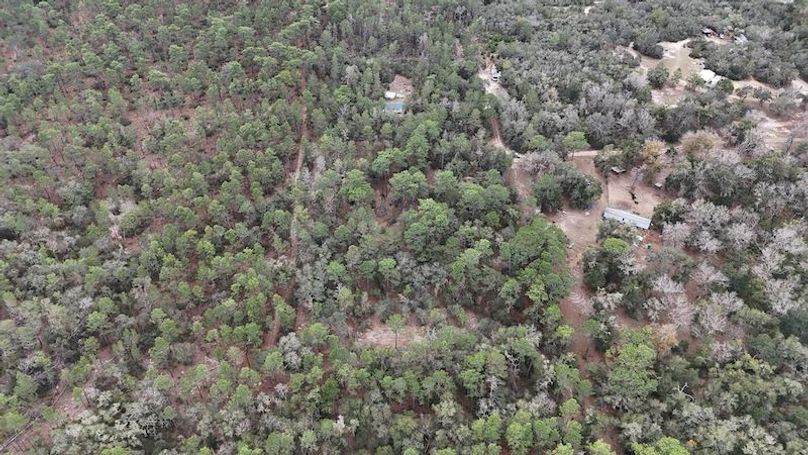 dji_fly_20251230_114724_0040_1767112927777_photo