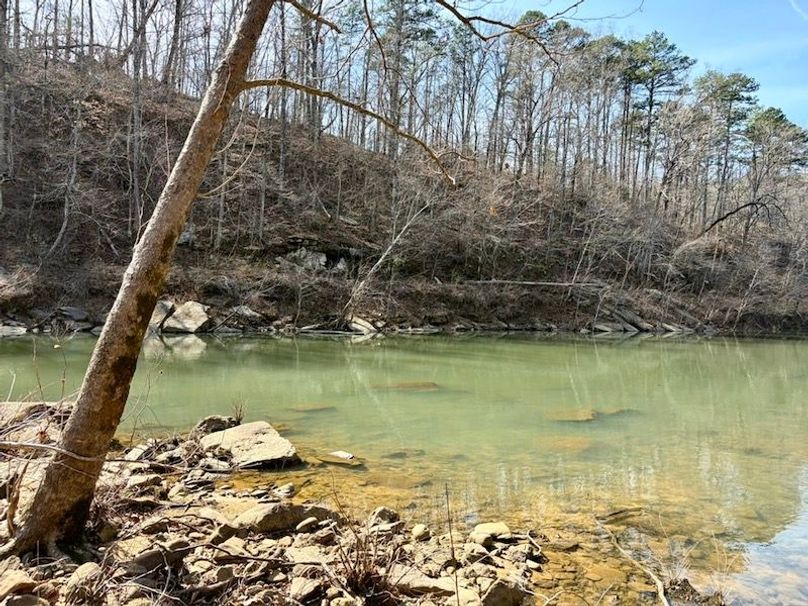 9BC6CDF9-77FE-486A-A1BA-CF6380112A84_1_105_c