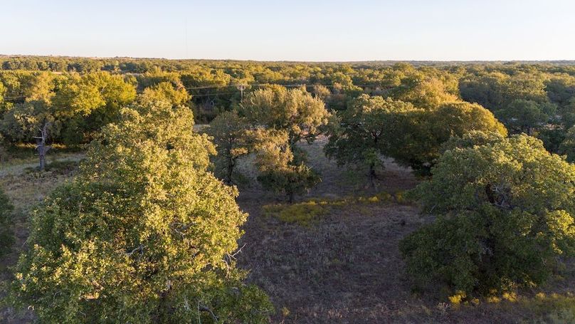 11. Large oaks and power nearby