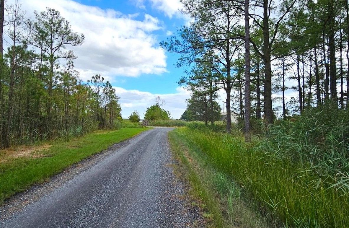 6.39ac_PineTopRd_LOT 1_Dorchester_04