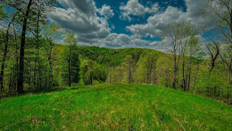 Doddridge, WV 64.69 AC Davis-08