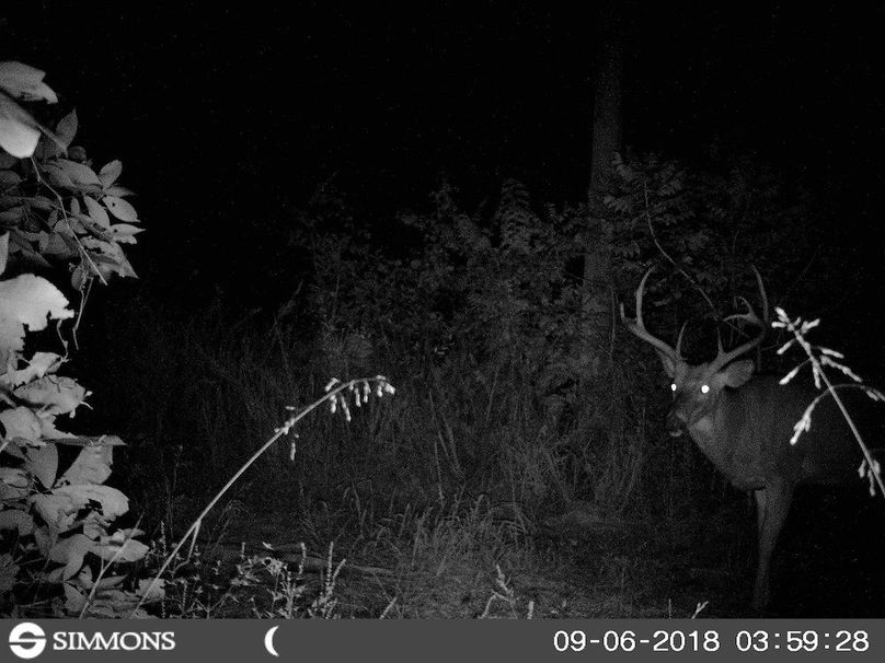 41831300_168949260672107_8144595553406156800_n