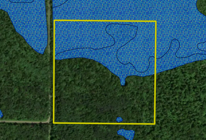 Screenshot 2024-03-18 at 2.45.00 PM copy