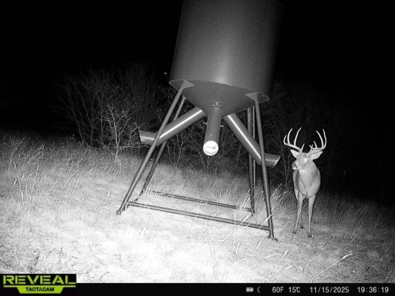 865977050266538-100-4-11152025193618-W1003044