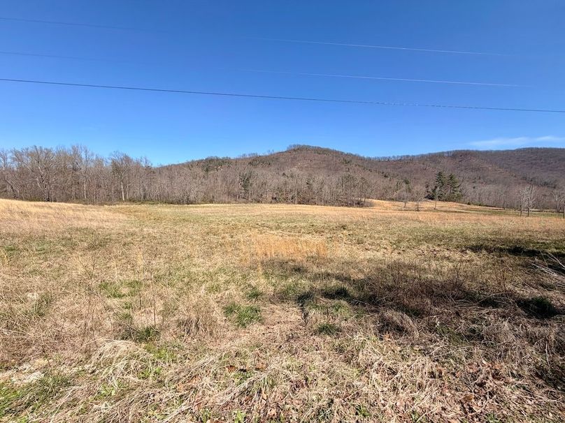 Morgan Co TN 310.833 Schneller_67