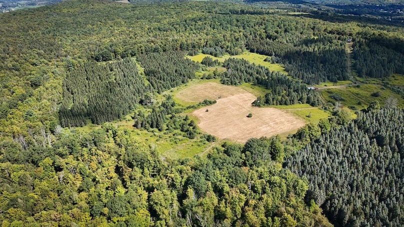 Tioga NY 232.62 Shores Photos 22